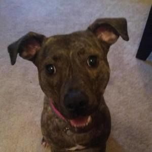 Meet your Posher, Victoria